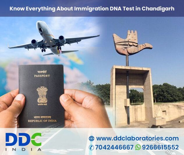 Know-Everything-About-Immigration-DNA-Test-in-Chandigarh