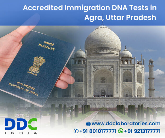 Get-the-Accredited-DNA-Test-in-Lucknow-for-Immigration-Purposes