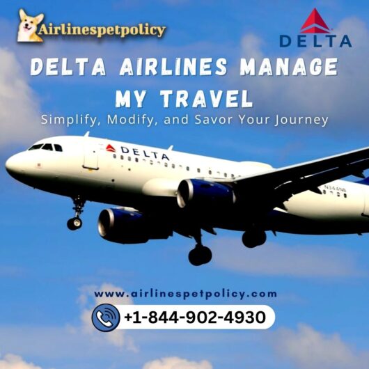 Delta-Ailrines-Manage-My-Travel