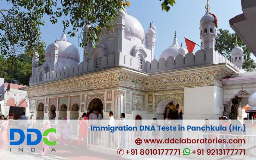 Immigration-DNA-Tests-in-Panchkula-Haryana